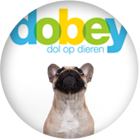 Fotoshoot voor Dobey